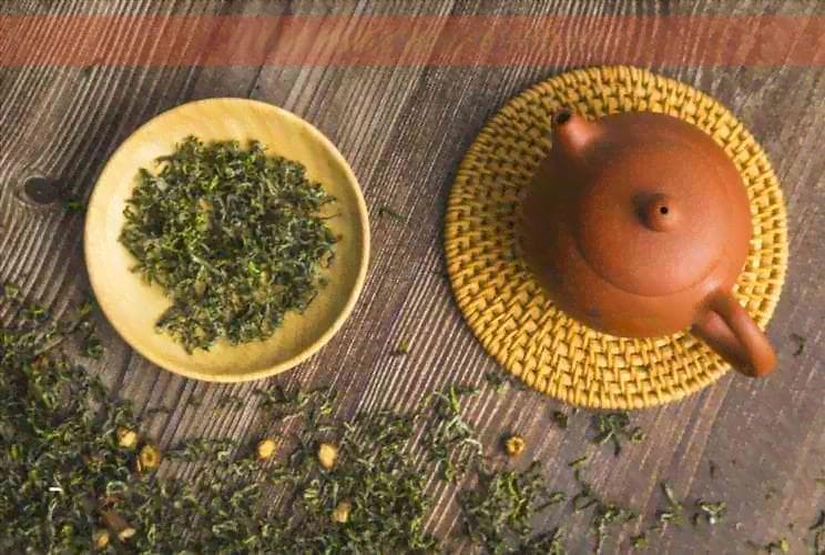 茶叶中哪种茶多酚含量更高：普洱茶排行榜揭秘