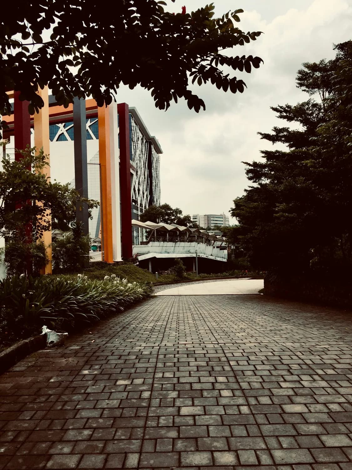2024年广州校园摄影大赛：学生视角下的校园之美