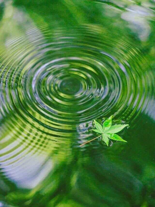 夏天拍什么？拍这6个主题，好看又治愈！