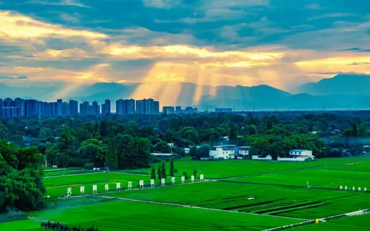 成都新图景：乡村焕新颜，振兴绘宏途