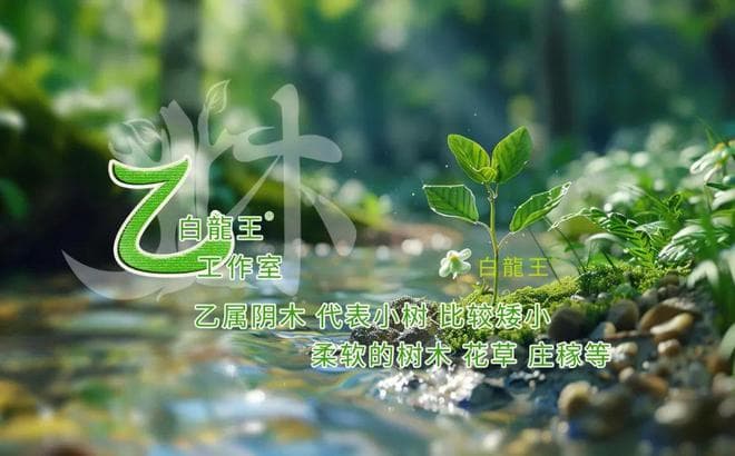 如何与身边的乙木人相处！？