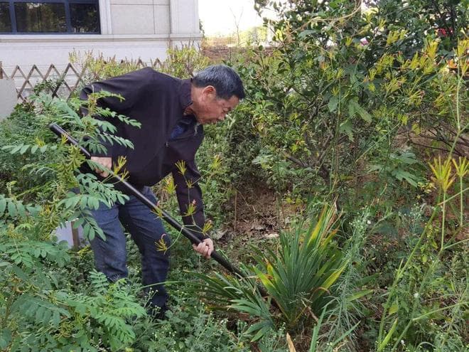 闻香识本草，馨香播文化！福建这位乡医自建共享“神农百草园”