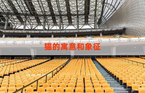 猫的寓意和象征：古老传说中的神秘伙伴