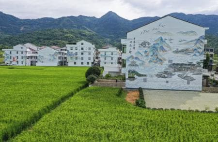 以“文”润村！温州乡村提笔勾勒乡村振兴新图景