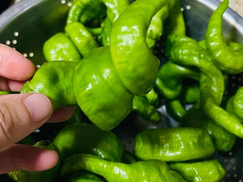 鱼泡（膘）烹饪教程：如何去除腥味并做出美味佳肴