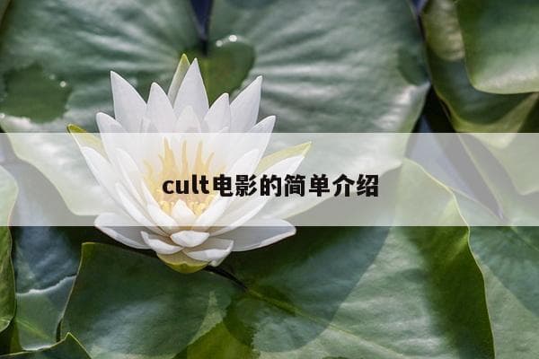 Cult电影：小众中的经典