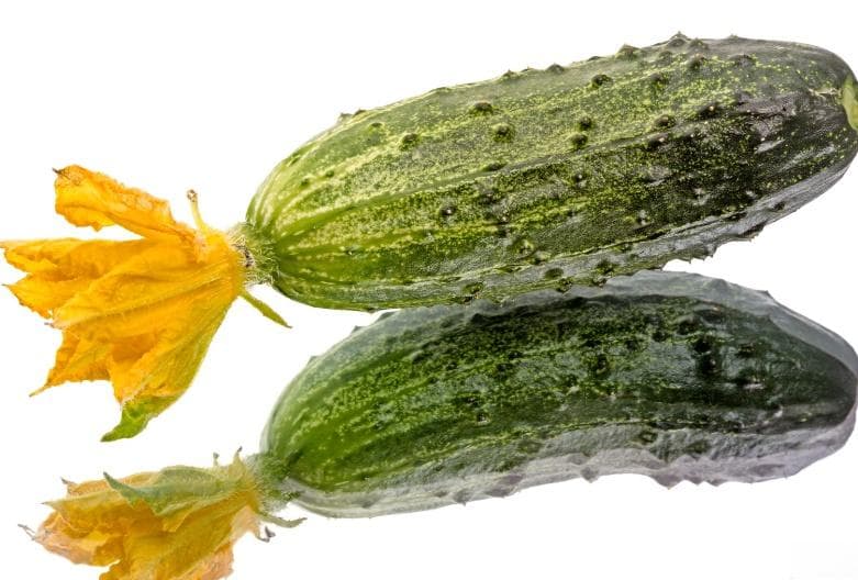 “顶花带刺”的黄瓜打了雌激素或避孕药，儿童吃了会早熟？这说法靠谱吗？