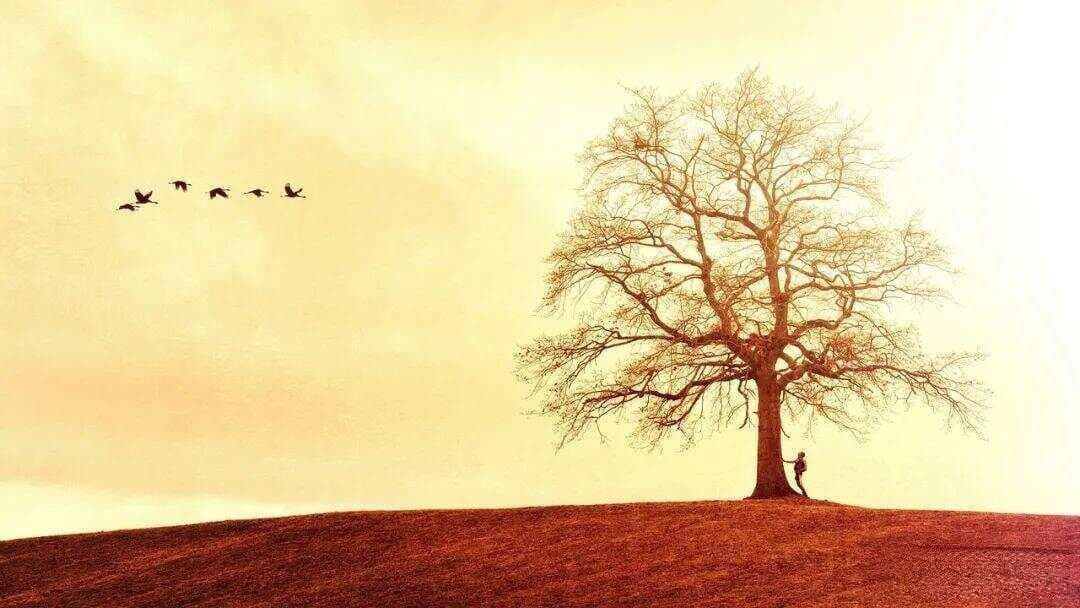 什么样的人最容易在职场上被排挤？