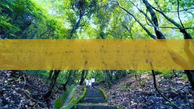 去普陀山几月份是淡季？普陀山旅游旺季和淡季分别在什么时候？