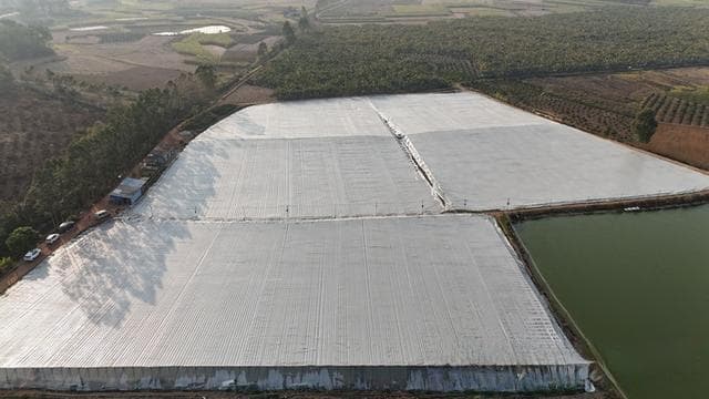 南宁江南区：智慧养殖让500万尾鱼苗“游”出产业新希望