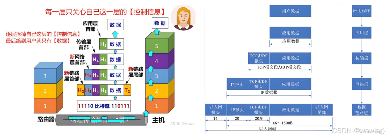 计算机网络|数据流向剖析与分层模型详解