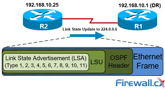 OSPF协议详解：11种LSA类型的功能与应用