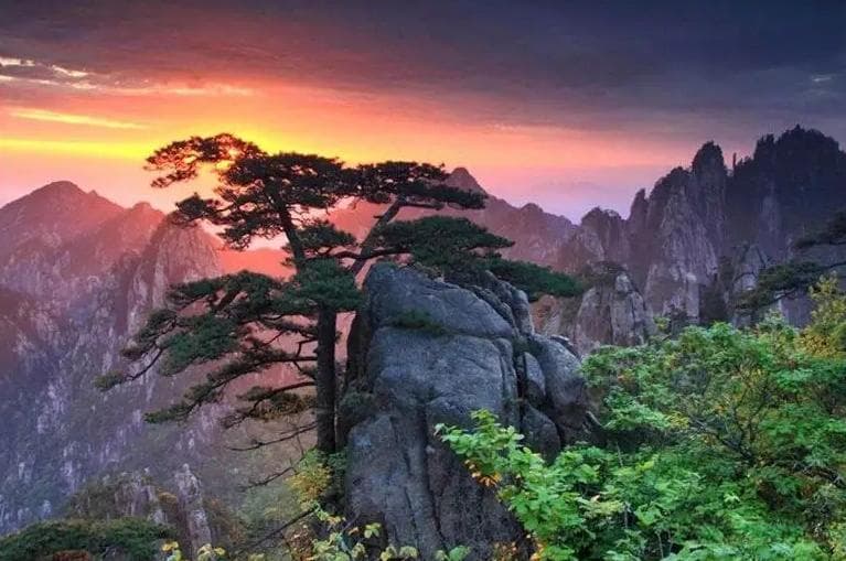 黄山特产必买清单大全