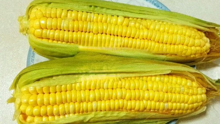 一根玉米和一碗米饭哪个热量高？