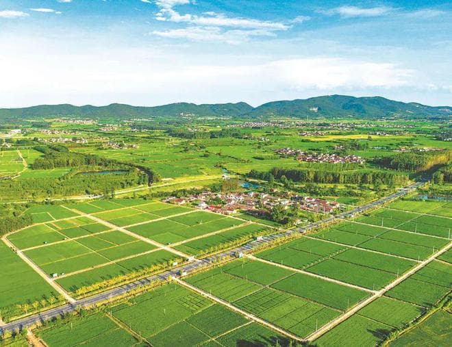 6000亿元？2025年农业补贴大升级：6类人可领钱，最高每亩补5000元！