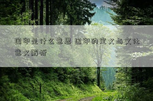 国印是什么意思 国印的定义与文化意义解析