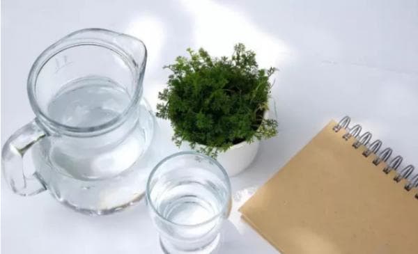 早晨喝温水还是凉白开？专家解析两种选择对身体的影响