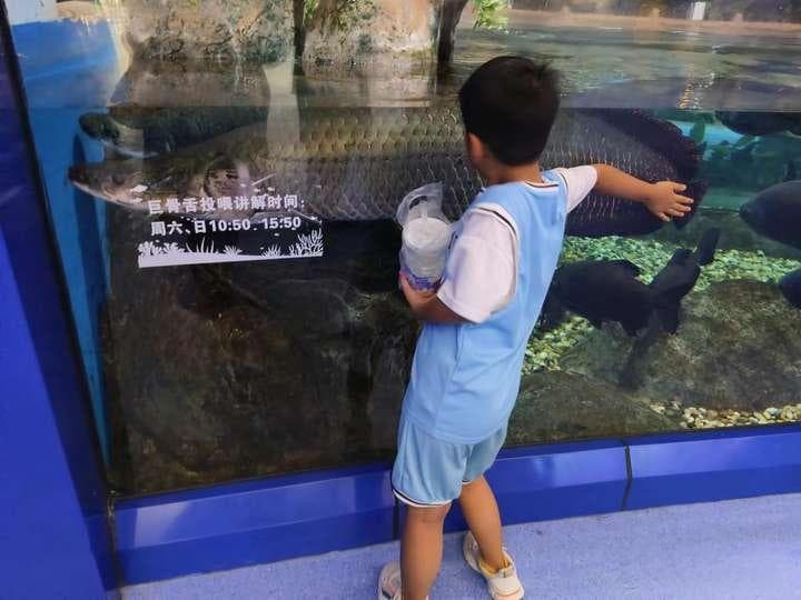 儿童乘坐电梯安全指南：这些知识家长和孩子都需要掌握