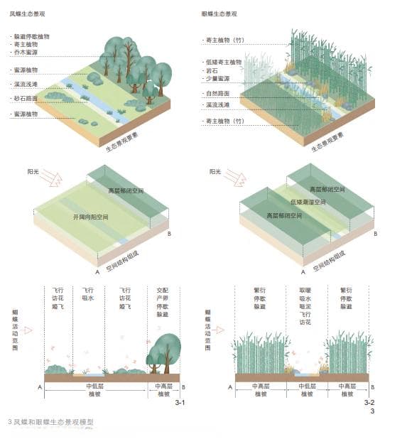 蝴蝶生态景观构建：城市生物多样性保护实践