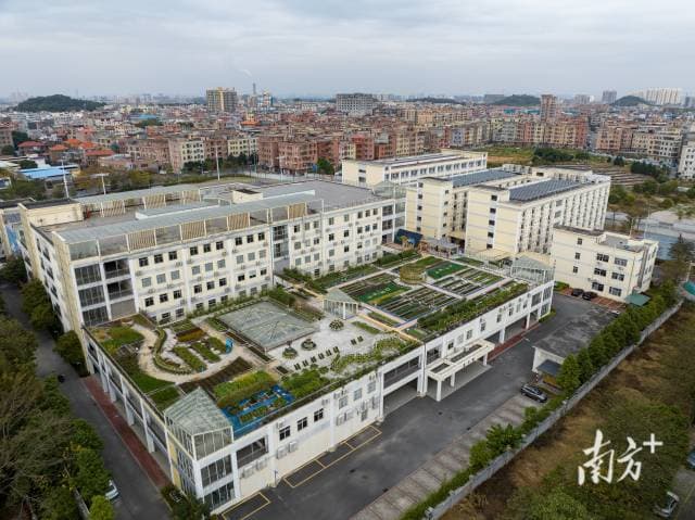 广东“空中农场”：科技让都市田园梦照进现实