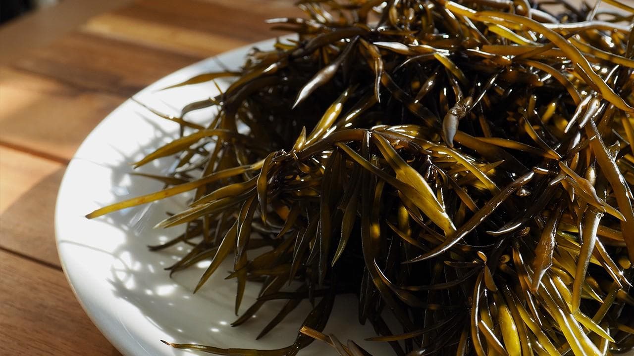 中药饮片的炮制方法有哪些 中药饮片切制前软化方法