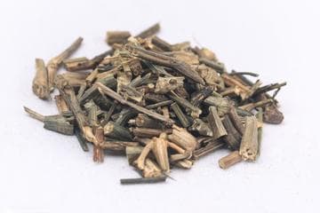 穿心莲的功效与作用