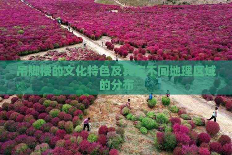 吊脚楼的文化特色及其在不同地理区域的分布