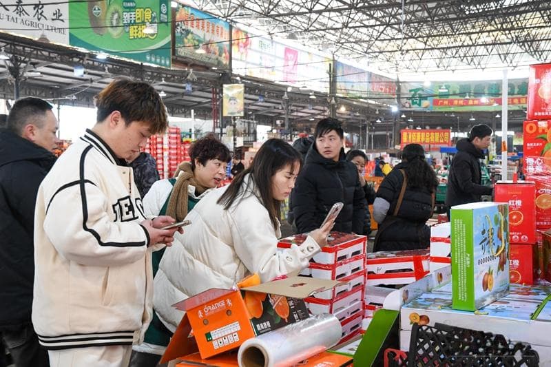 福州果品旺销登上央视 海峡果品批发市场日交易量达1900吨