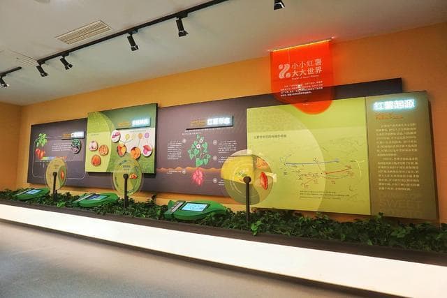 保定红薯文化博物馆：一探红薯的前世今生