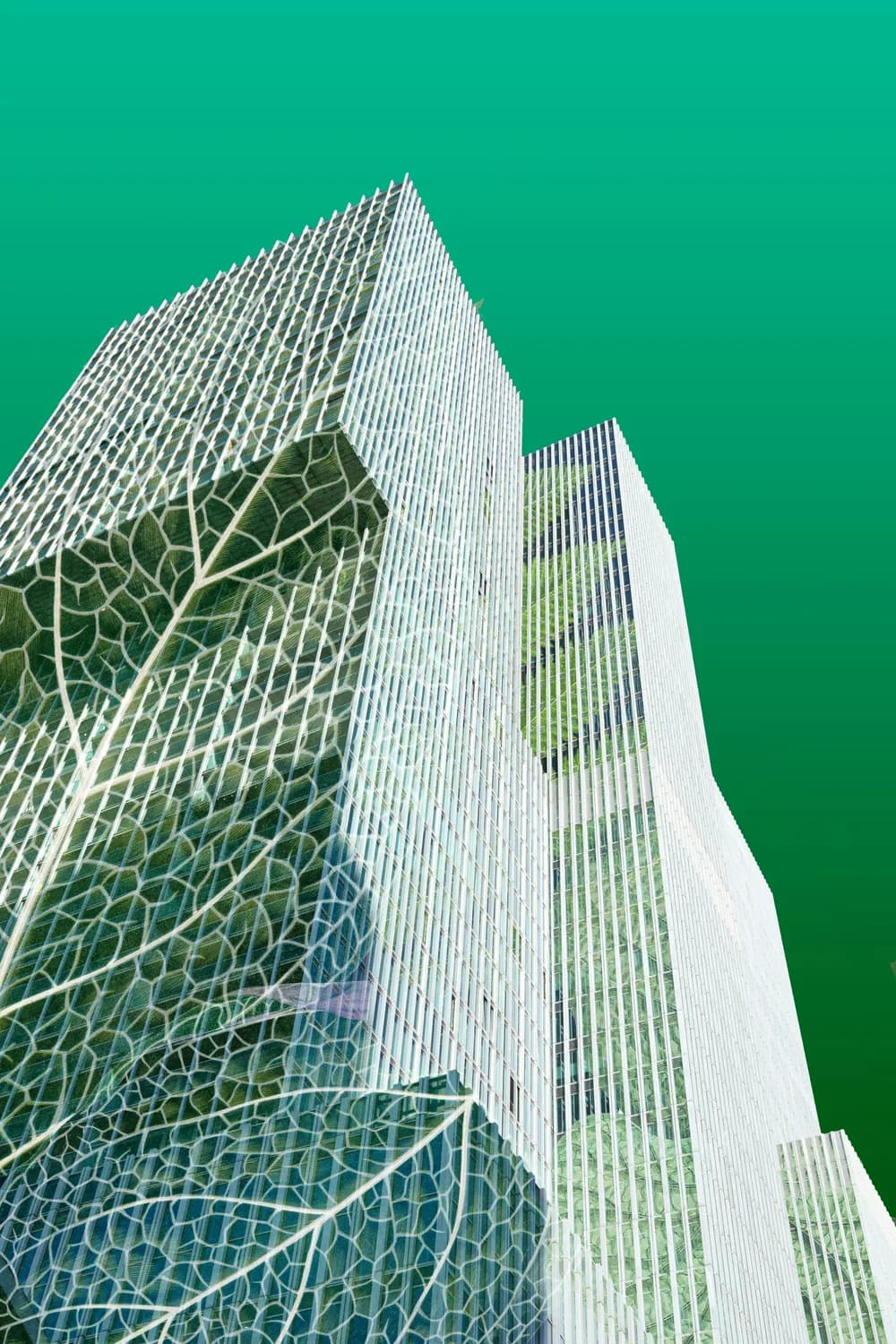 森林中的绿色建筑：一种新型的可持续居住方式