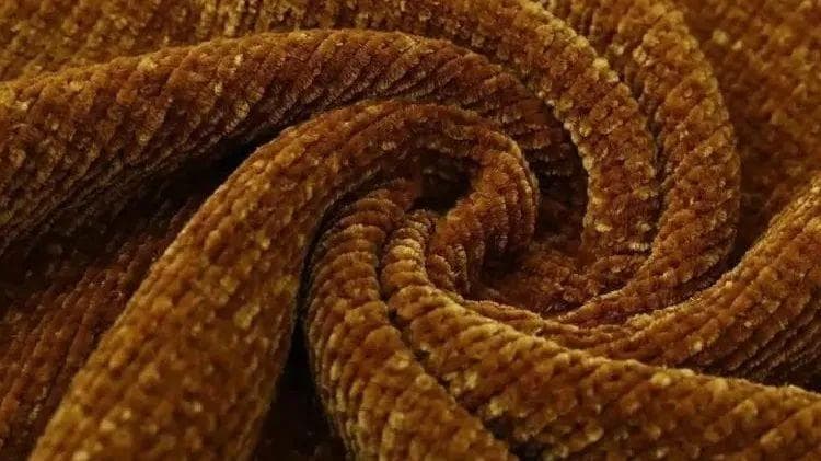 科普 | 认识一下雪尼尔纱 Chenille yarn