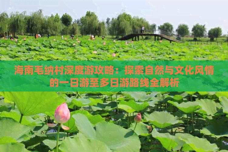 海南毛纳村深度游攻略：探索自然与文化风情的一日游至多日游路线全解析