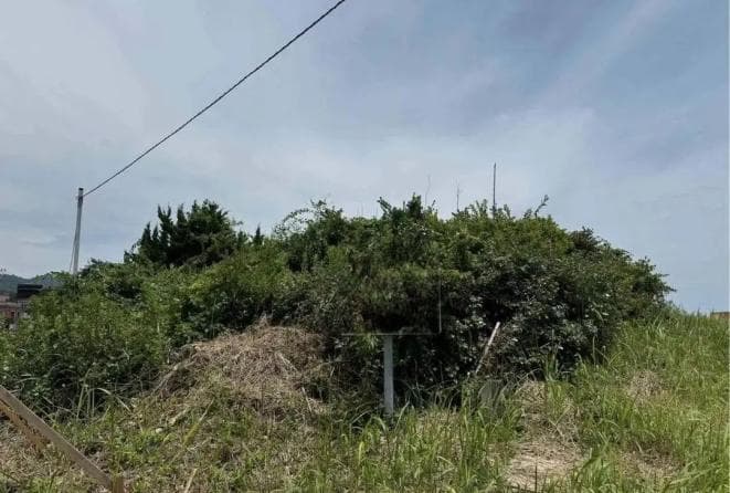 女子被海浪卷走，抱着救生圈漂了80公里、超36小时！终于获救脱险→