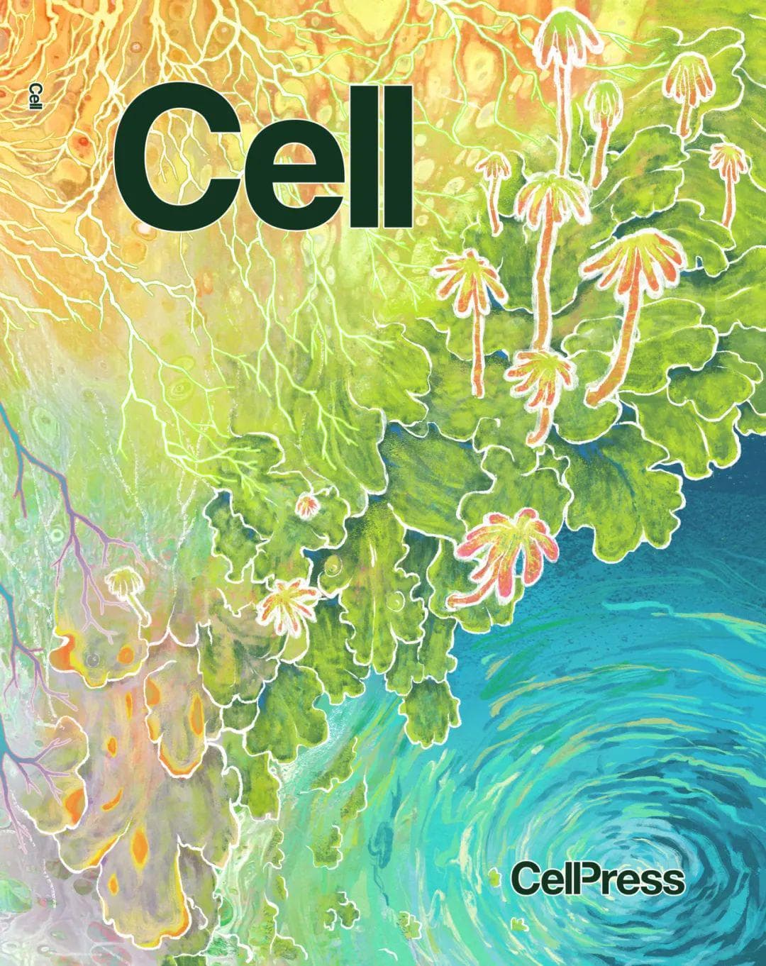 重磅！王二涛研究团队在《Cell》发表重要研究成果