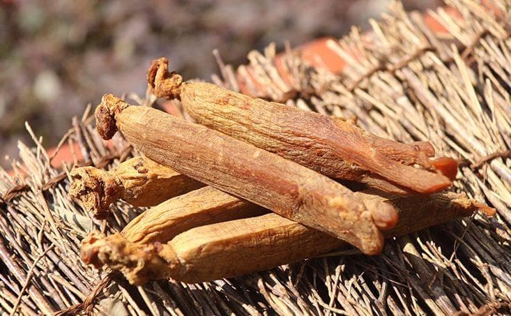 红参的功效与食用须知：从功效到副作用的全面解析