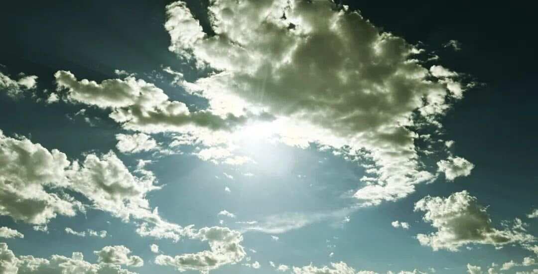 太极拳之云手：万花不落地，一花心中开