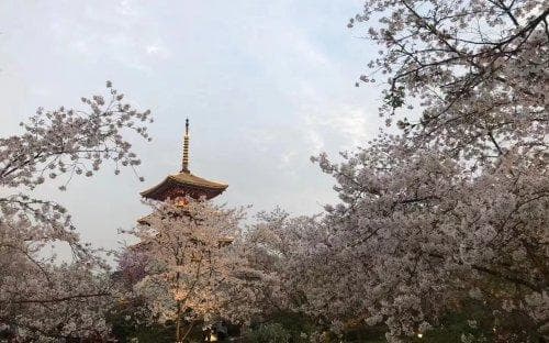 武汉一日游攻略：经典路线及景点详解