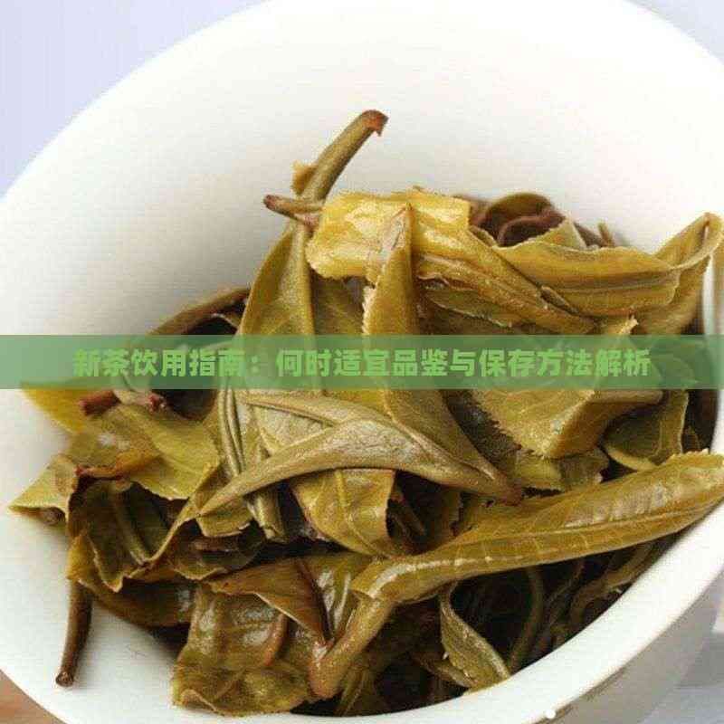新茶品鉴与保存指南：何时饮用最适宜？如何保存更持久？