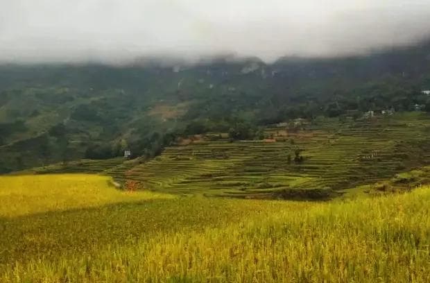 9月的重庆，最美秋天都藏在这些地方