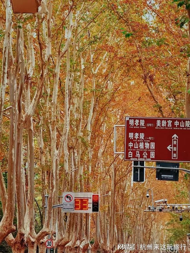 南京三日游保姆级攻略！跟着本地人玩转六朝古都吃住行一篇搞定
