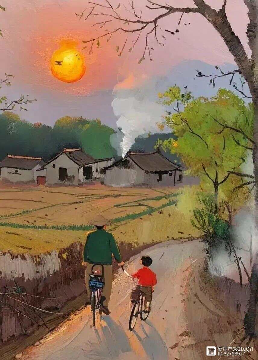 《何以为父》：探讨父子关系的心理学佳作