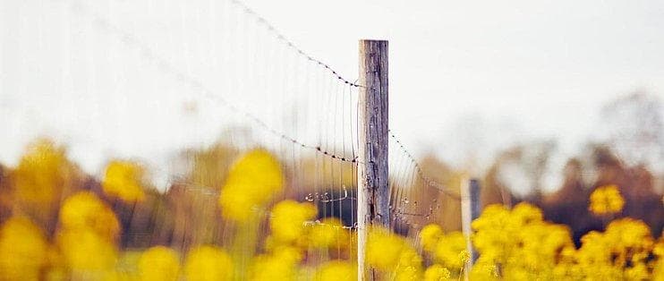 积极心态：如何培养乐观向上的生活态度