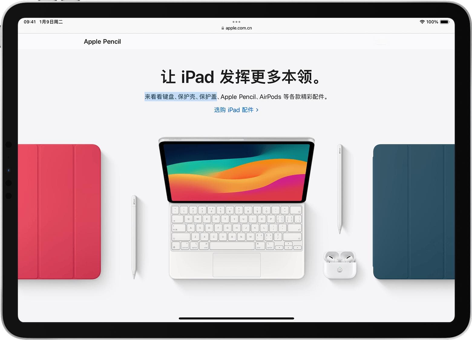 将蓝牙鼠标或触控板与iPad配合使用