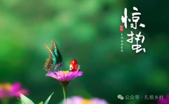 惊蛰下雨兆丰年，晴天或致春旱：老农谚语里的天气智慧