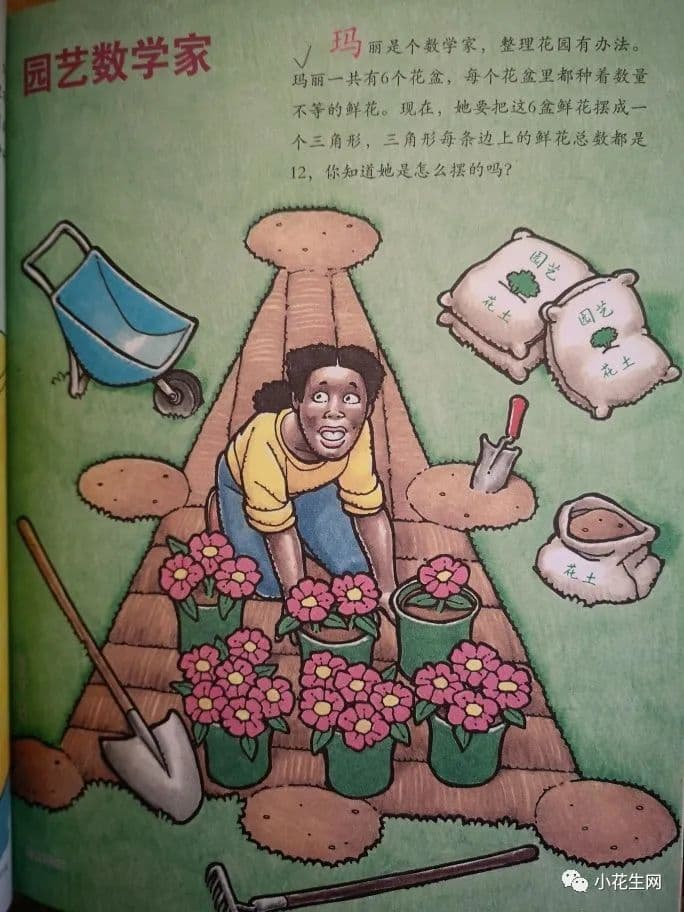 小学儿子数学长期班级第一，这10套数学课外读物帮了大忙！