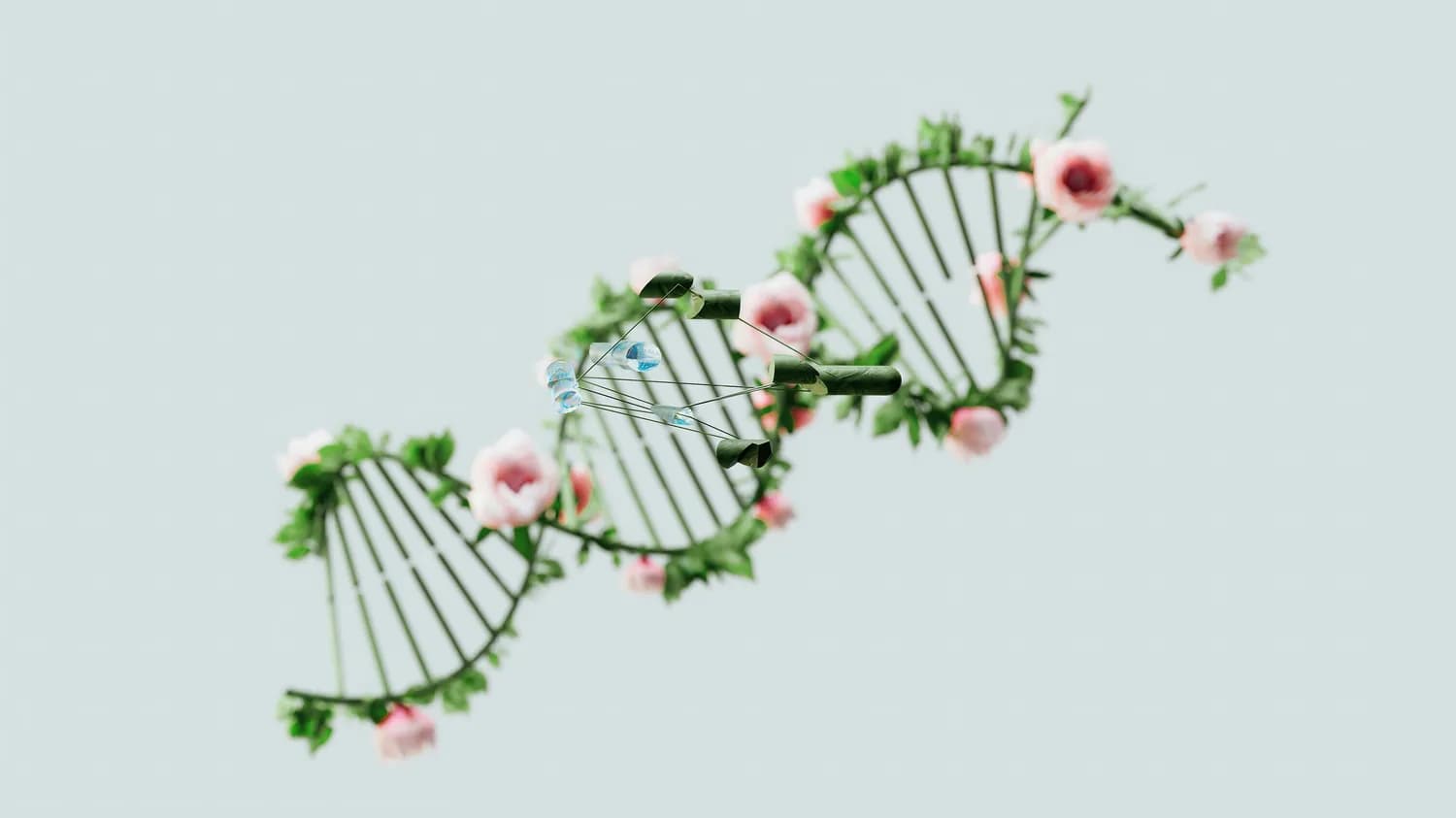 韩方普研究组发表植物染色体工程综述，展示作物改良新突破