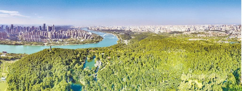 绿智并进 林产共兴丨南宁厚植生态底色 绘就发展蓝图