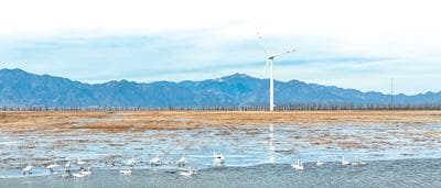 中国三处国际重要湿地保护实践：从生态修复到生物多样性保护