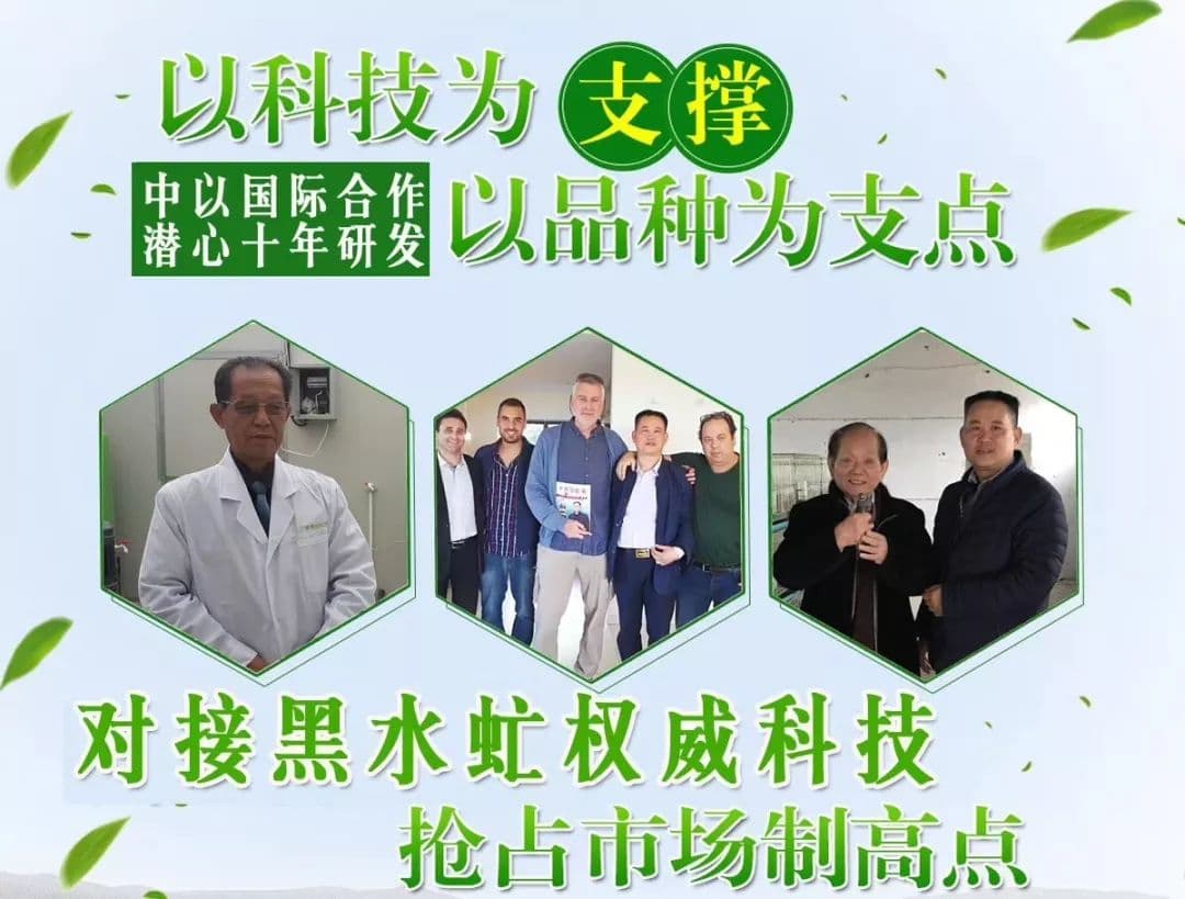 垃圾变废为宝，黑水虻治理猪场粪污的巨大经济效益