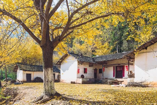 湖北秋季旅游胜地大揭秘：十大景点让你陶醉金秋